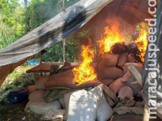 Mais de 300 toneladas de maconha são destruídas na fronteira do MS Mais de 300 toneladas de maconha são destruídas na fronteira do MS