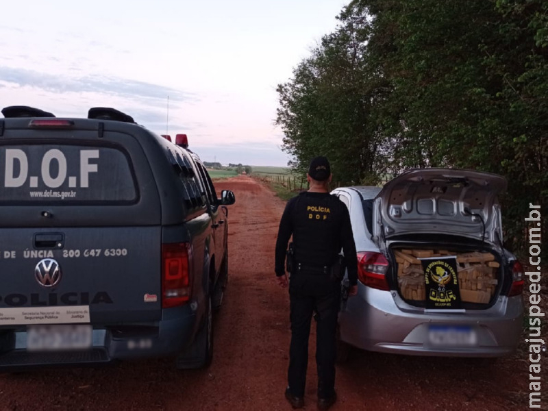 Maracaju: Veículo com mais de 780 Kg de maconha foi apreendido pelo DOF Maracaju: Veículo com mais de 780 Kg de maconha foi apreendido pelo DOF