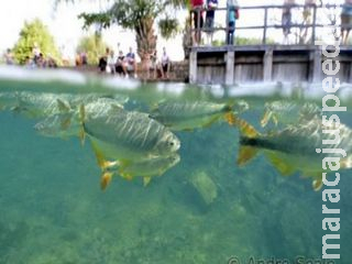 Municípios de MS têm até 30 de novembro para recorrer a determinação de ICMS Ecológico de 2021