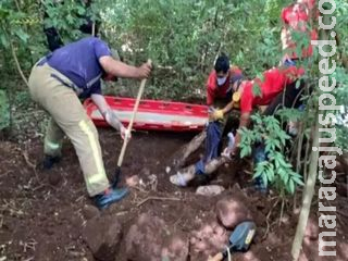 Polícia encontra quatro corpos em cova rasa na fronteira com MS