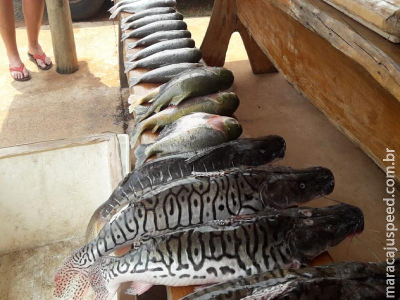 Polícia Militar Ambiental e Imasul deflagram operação piracema com o fechamento da pesca hoje (4) meia noite em todos os rios do Estado