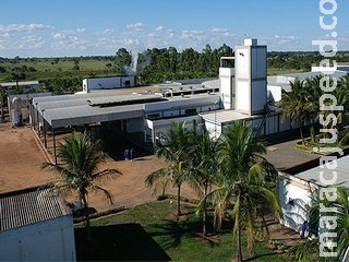 Por falta de provas, funcionários de frigorífico são absolvidos pela morte de colega em silo Por falta de provas, funcionários de frigorífico são absolvidos pela morte de colega em silo