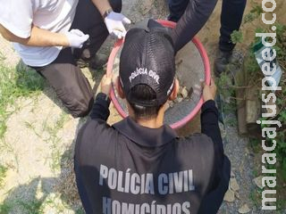Professora acusada de ajudar a matar e carbonizar corpo de servidora tem liberdade negada Professora acusada de ajudar a matar e carbonizar corpo de servidora tem liberdade negada