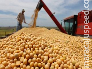 Projeto que amplia área de atuação da Codevasf está na pauta do Plenário Projeto que amplia área de atuação da Codevasf está na pauta do Plenário