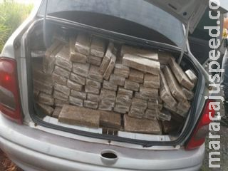 Traficante tenta atropelar policial durante fuga e abandona carga de maconha em rodovia Traficante tenta atropelar policial durante fuga e abandona carga de maconha em rodovia