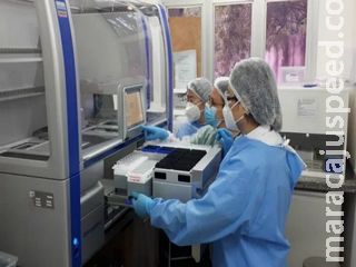 Brasil contabiliza média móvel diária de 518 mortes pela covid-19