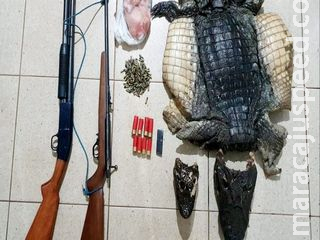 Caçador ilegal é preso com pele de jacaré, armas e 165 munições