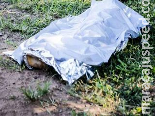 Cadáver é encontrado em cima de pneu às margens da BR-163 em Campo Grande