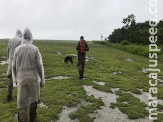 Desaparecida há 3 dias, criança de 2 anos é encontrada viva em lixão de MT Desaparecida há 3 dias, criança de 2 anos é encontrada viva em lixão de MT