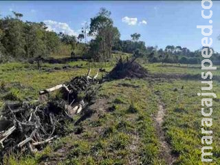 Fazendeiro é multado em R$ 5 mil por desmatamento ilegal em propriedade rural