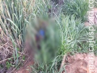 Homem vai colher pequi e encontra ossada humana debaixo de árvore