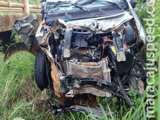 Moradora de MS morre em acidente após carro ocupado por família cair em rio de Goiás