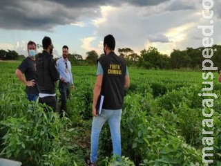 Polícia descobre que idosa encontrada morta em plantação de MS era estuprada por parente