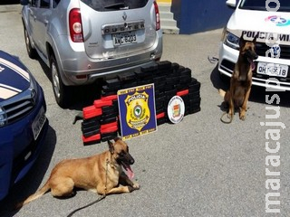Policial militar preso com 104 quilos de crack em veículo é excluído da corporação