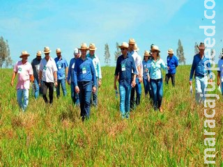 RAIO-X: Meio Ambiente e Ciência perdem mais espaço na Semagro, que prioriza Agricultura RAIO-X: Meio Ambiente e Ciência perdem mais espaço na Semagro, que prioriza Agricultura