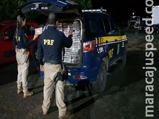 Rota caipira: caminhão com mais de R$ 11 milhões em cocaína é apreendido em MS