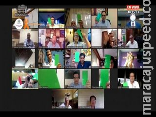 Senadora toma vinho durante votação em sessão online no Paraguai Senadora toma vinho durante votação em sessão online no Paraguai