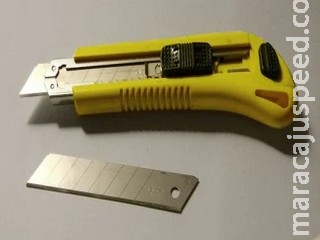 Suspeito de castrar o próprio cachorro em casa com estilete é detido em cidade de MS Suspeito de castrar o próprio cachorro em casa com estilete é detido em cidade de MS