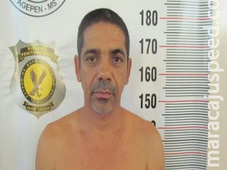 Traficante que cuidava de cães na PED cava buraco no muro e foge Traficante que cuidava de cães na PED cava buraco no muro e foge