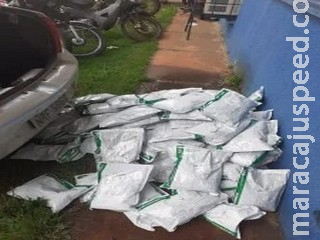 Veículo com 115 pacotes de inseticida é apreendido pela PM em cidade de MS