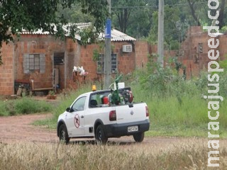Abra portas e janelas: Fumacê percorre 12 bairros de Campo Grande nesta sexta-feira Abra portas e janelas: Fumacê percorre 12 bairros de Campo Grande nesta sexta-feira