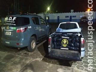 Adolescente de 15 anos é flagrado na MS-156 com quase 200 quilos de skank