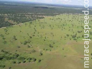 Advogada de Campo Grande é multada em R$ 35 mil por desmatamento ilegal