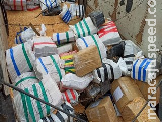 Agentes da PRF interceptam carga de 9,5 tonelada de maconha na MS-276 Agentes da PRF interceptam carga de 9,5 tonelada de maconha na MS-276