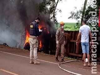 Bombeiro é atropelado quando atendia incêndio em caminhão de porcos na BR-376