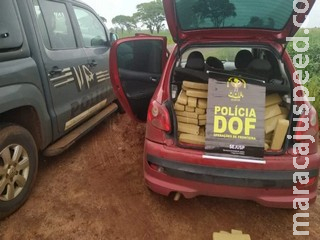 Casal é preso ao ser flagrado com 265 kg de maconha em carro na MS-386