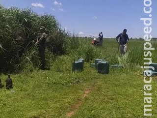 Cocaína abandonada por traficantes durante tiroteio é avaliada em mais de R$ 5 milhões Cocaína abandonada por traficantes durante tiroteio é avaliada em mais de R$ 5 milhões