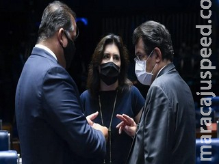 Cúpula do MDB reforça campanha de Simone no Senado Cúpula do MDB reforça campanha de Simone no Senado