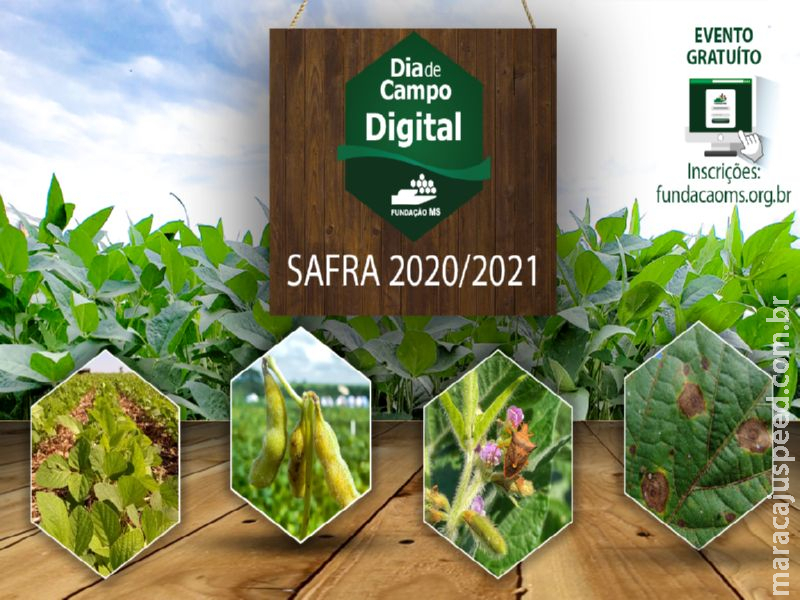 Fundação MS realizará Dia De Campo on-line para apresentar resultados importantes para Safra 2021/2022