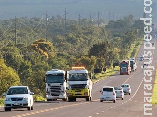 Ladrões escalam postes de 9 metros e furtam R$ 16,8 mil em baterias na BR-163