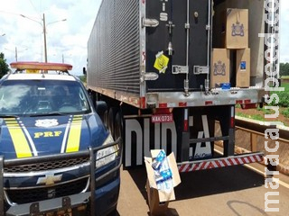 Motorista de MT é preso com cigarro contrabandeado em carga de repolho Motorista de MT é preso com cigarro contrabandeado em carga de repolho