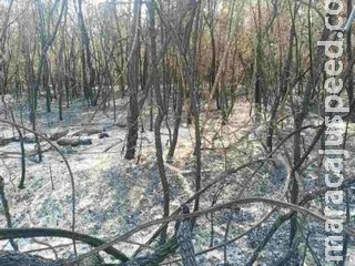 PMA aplica R$ 6,32 milhões em multas por incêndios em 2019