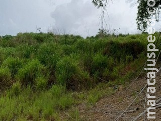 Polícia investiga últimos passos de homem encontrado morto e nu em matagal em MS Polícia investiga últimos passos de homem encontrado morto e nu em matagal em MS