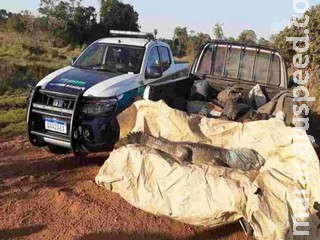 Polícia Militar Ambiental autua 22 caçadores em R$ 90 mil e apreende 21 armas de caça durante o ano passado