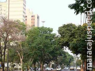 Prefeitura sanciona previsão de doação de imóvel para entidades filantrópicas em Campo Grande Prefeitura sanciona previsão de doação de imóvel para entidades filantrópicas em Campo Grande