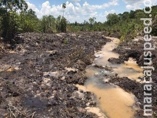 Proprietário rural é multado em R$ 10 mil por degradação de leito e matas ciliares córrego