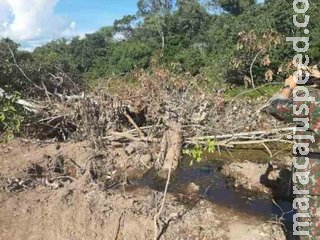 Proprietário rural é multado em R$ 9 mil por desmatamento ilegal