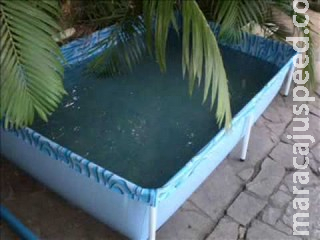 Rapaz morre afogado em piscina durante festa familiar em Campo Grande Rapaz morre afogado em piscina durante festa familiar em Campo Grande