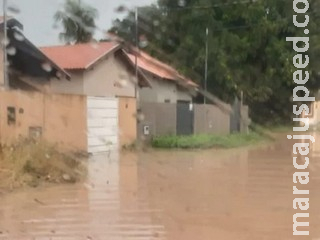Após temporal, ruas alagam e moradores ficam desabrigados em MS Após temporal, ruas alagam e moradores ficam desabrigados em MS