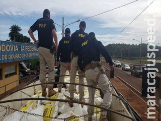 Carga milionária de cocaína é apreendida em caminhão de trigo pela PRF