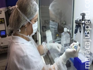 Cientista britânica afirma que nova variante do coronavírus irá “varrer o mundo” Cientista britânica afirma que nova variante do coronavírus irá “varrer o mundo”