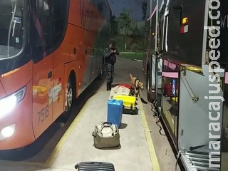 Com maconha que seria levada para MG, rapaz acaba preso na rodoviária pelo Choque Com maconha que seria levada para MG, rapaz acaba preso na rodoviária pelo Choque