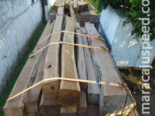 Economista é multado em R$ 6,3 mil por carga de madeira ilegal