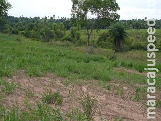 Fazendeiro de Caracol é multado em R$ 10 mil por desmatamento em área protegida Fazendeiro de Caracol é multado em R$ 10 mil por desmatamento em área protegida