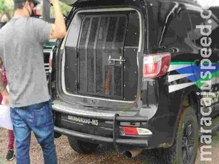 Homem com tornozeleira eletrônica é preso por tráfico de drogas no Tijuca Homem com tornozeleira eletrônica é preso por tráfico de drogas no Tijuca