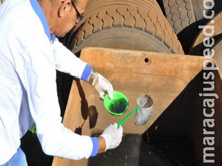 Idoso de Dourados é a primeira vítima fatal da dengue neste ano em MS Idoso de Dourados é a primeira vítima fatal da dengue neste ano em MS